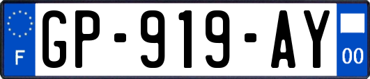 GP-919-AY