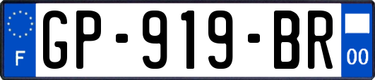 GP-919-BR