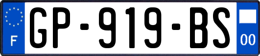 GP-919-BS