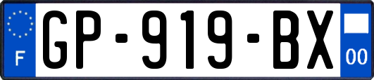 GP-919-BX