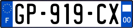 GP-919-CX