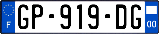 GP-919-DG