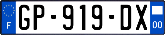 GP-919-DX