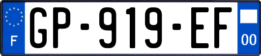 GP-919-EF