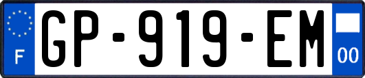 GP-919-EM