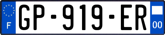 GP-919-ER