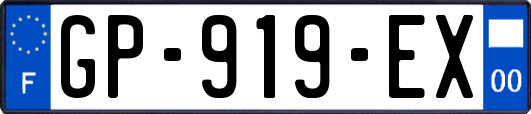 GP-919-EX