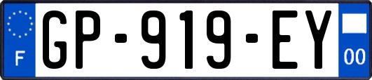 GP-919-EY