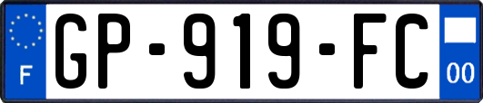 GP-919-FC