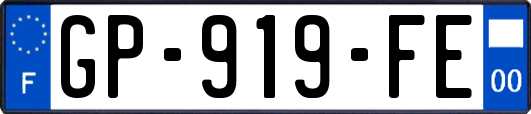 GP-919-FE
