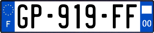 GP-919-FF