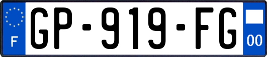 GP-919-FG