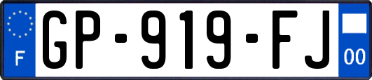 GP-919-FJ