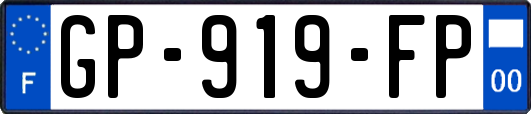 GP-919-FP