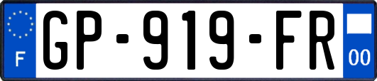 GP-919-FR