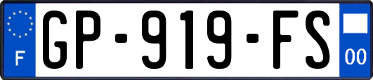 GP-919-FS