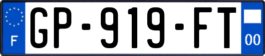 GP-919-FT