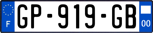 GP-919-GB