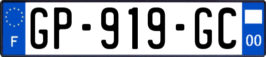 GP-919-GC