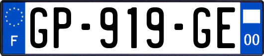 GP-919-GE