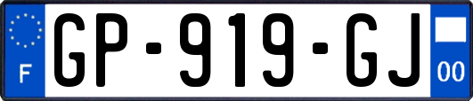 GP-919-GJ