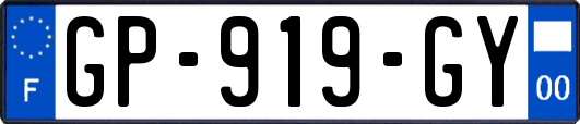 GP-919-GY