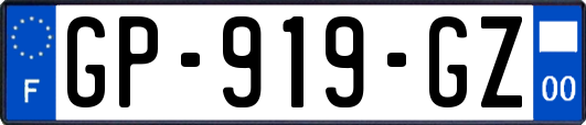 GP-919-GZ