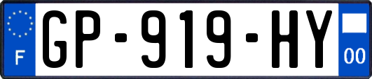 GP-919-HY