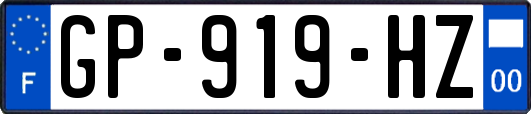 GP-919-HZ