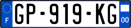 GP-919-KG
