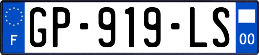 GP-919-LS