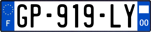 GP-919-LY