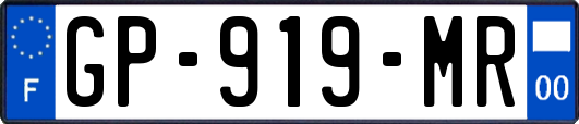 GP-919-MR
