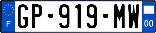 GP-919-MW