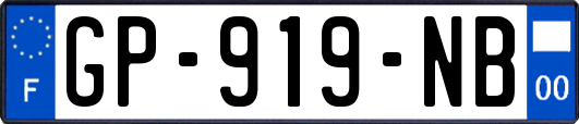 GP-919-NB