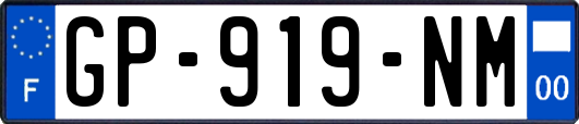 GP-919-NM