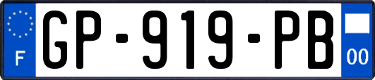 GP-919-PB