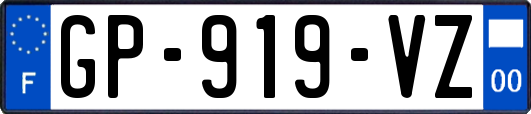 GP-919-VZ