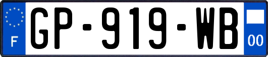 GP-919-WB