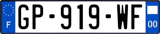 GP-919-WF