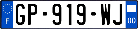GP-919-WJ