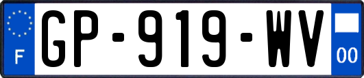 GP-919-WV