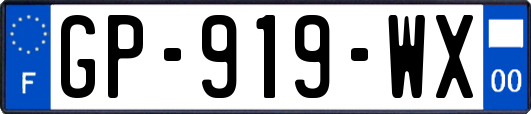 GP-919-WX