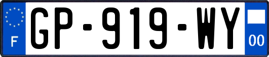 GP-919-WY