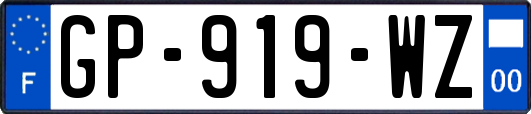 GP-919-WZ