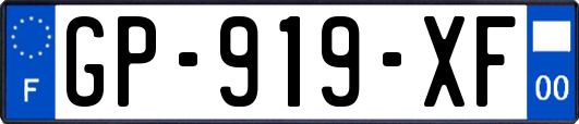 GP-919-XF