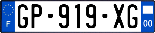 GP-919-XG