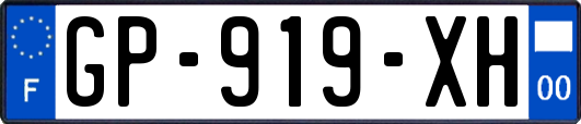 GP-919-XH