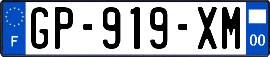 GP-919-XM