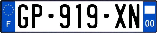 GP-919-XN